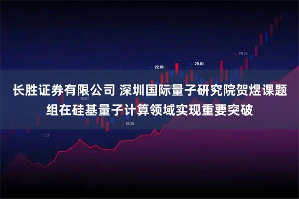 长胜证券有限公司 深圳国际量子研究院贺煜课题组在硅基量子计算领域实现重要突破