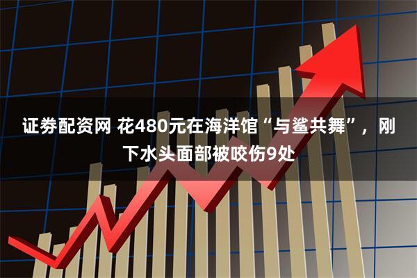 证劵配资网 花480元在海洋馆“与鲨共舞”，刚下水头面部被咬伤9处