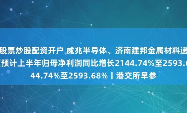 股票炒股配资开户 威兆半导体、济南建邦金属材料递表港交所；埃斯顿预计上半年归母净利润同比增长2144.74%至2593.68%丨港交所早参